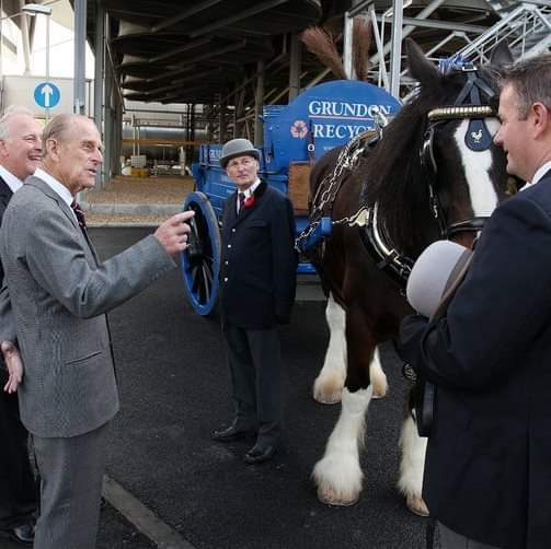 Corporate branding with Shire horses